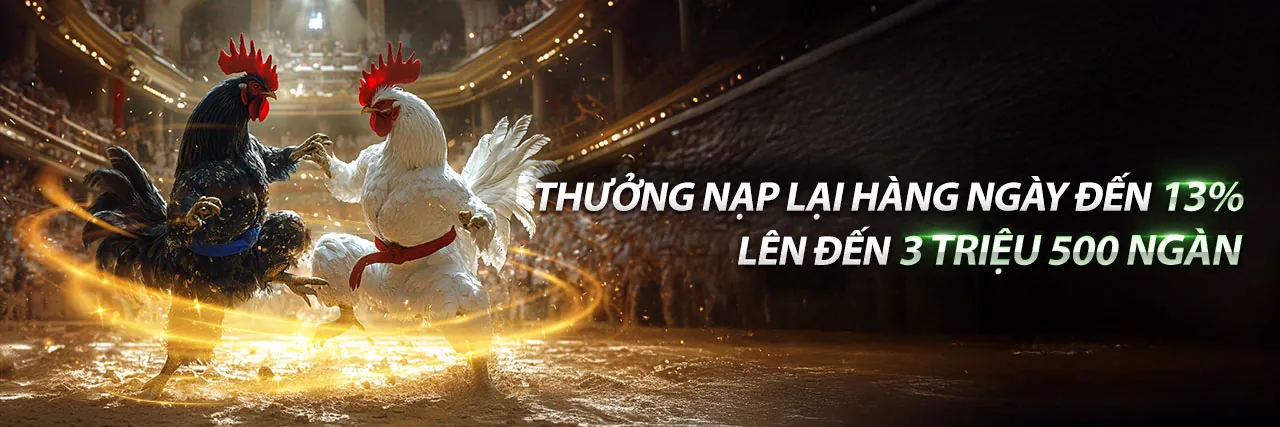 Đá gà Campuchia ngày 8 tháng 4 - Trận đấu kịch tính